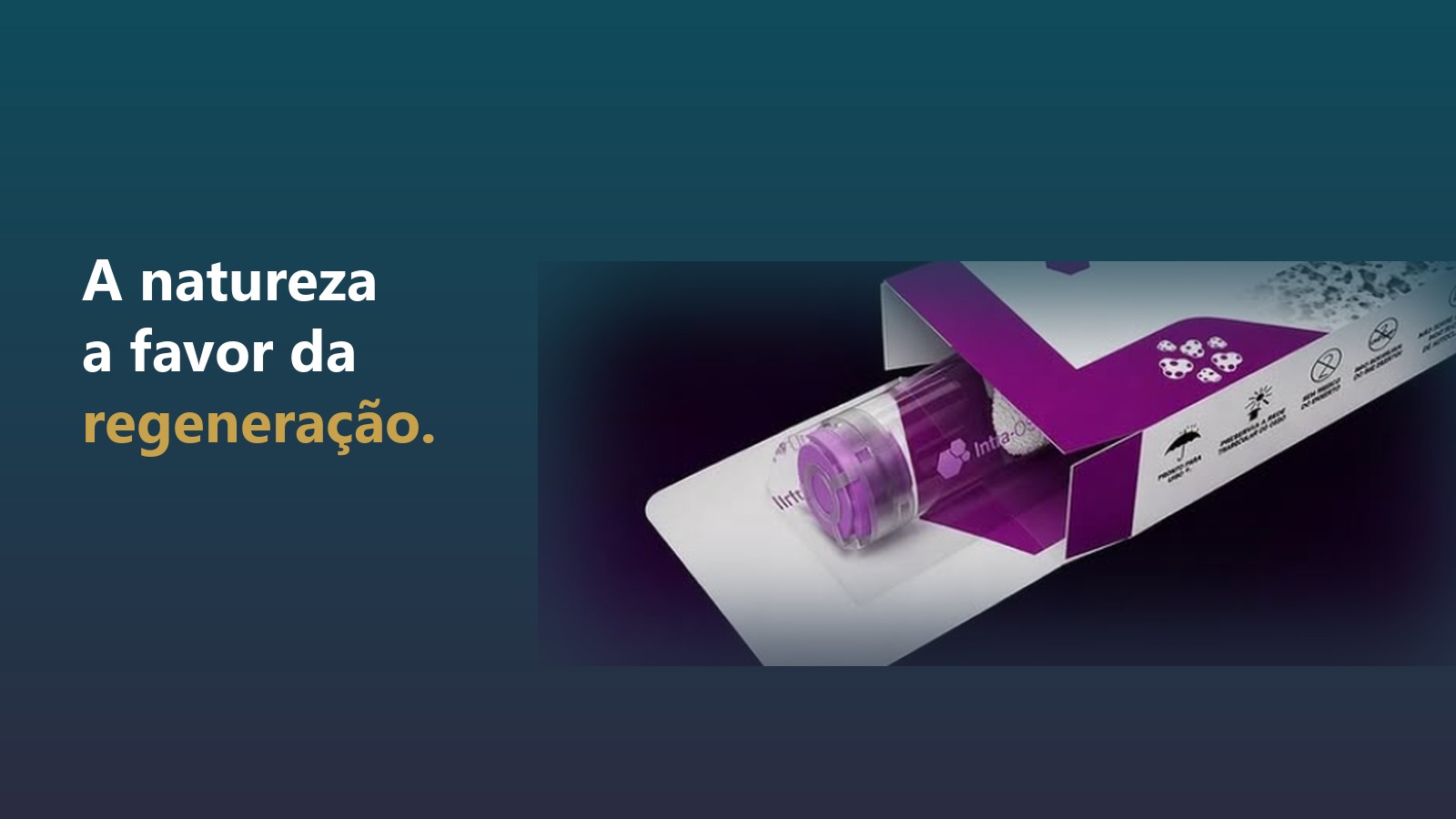 Repositor Ósseo Intra-OSS, biomaterial para regeneração óssea